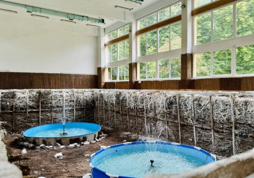 Zdjęcie w Galerii przedstawiające dostępne zabiegi.